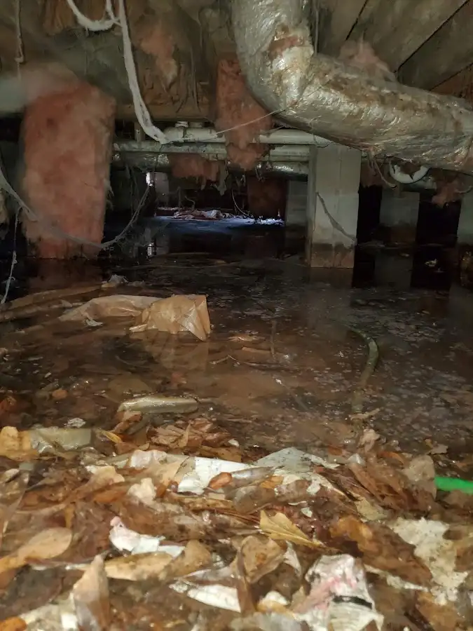 Crawl space flood assessment for Commercial Water Damage Restoration in Griffith