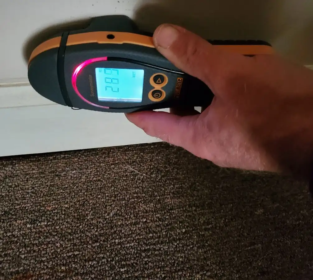 Moisture detection at baseboard during Burst Pipe Cleanup in Griffith